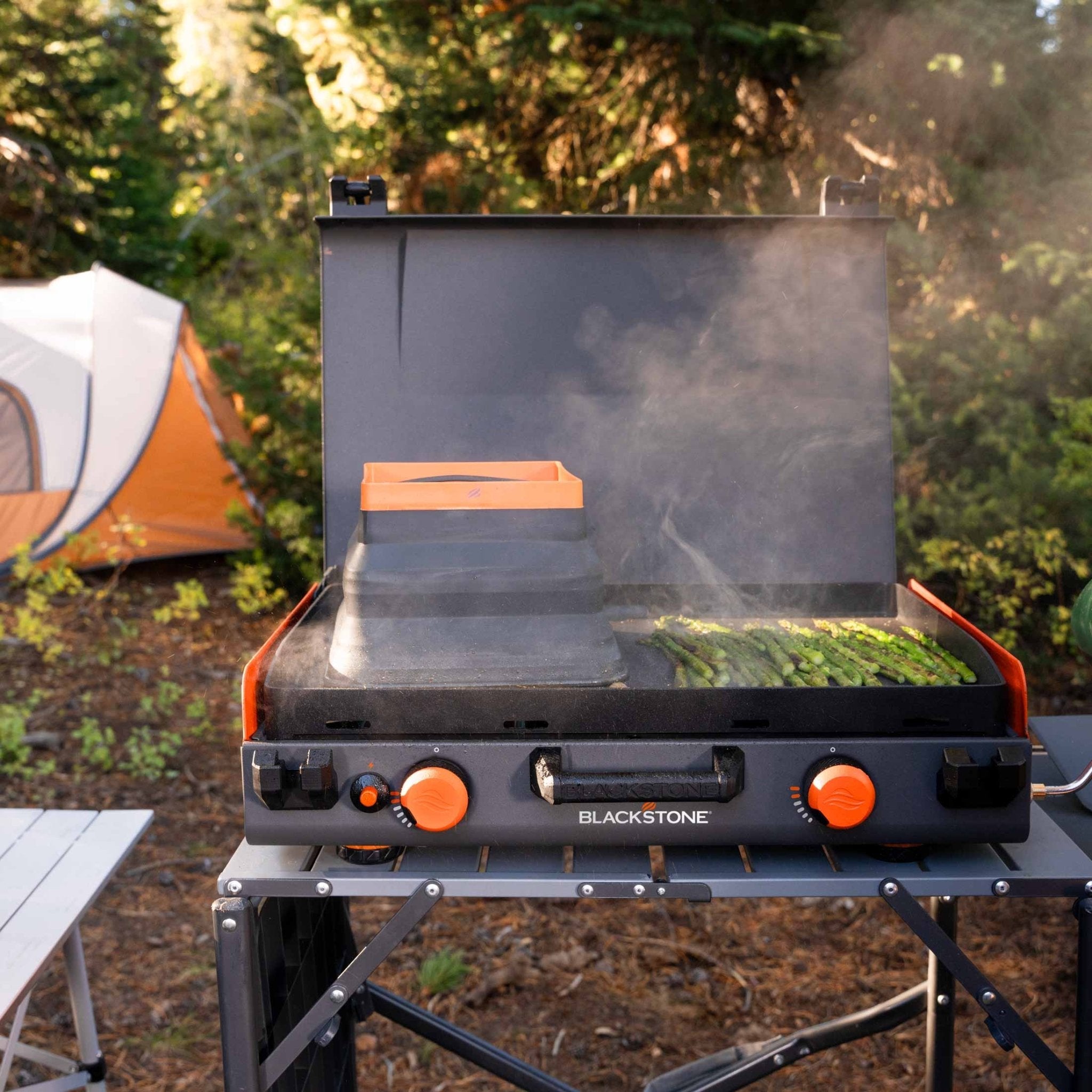 20x14" Camping Griddle
